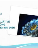 Bài giảng Pháp luật thương mại điện tử - Chương 2: Pháp luật về hợp đồng thương mại điện tử