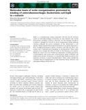 Báo cáo khoa học: Molecular basis of actin reorganization promoted by binding of enterohaemorrhagic Escherichia coli EspB to a-catenin