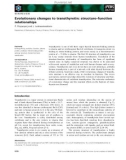 Báo cáo khoa học: Evolutionary changes to transthyretin: structure–function relationships