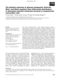 Báo cáo khoa học: The intrinsic structure of glucose transporter isoforms Glut1 and Glut3 regulates their differential distribution to detergent-resistant membrane domains in nonpolarized mammalian cells