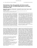 Báo cáo khoa học: Determination of the redox potentials and electron transfer properties of the FAD- and FMN-binding domains of the human oxidoreductase NR1