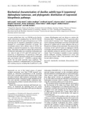 Báo cáo khoa học: Biochemical characterization of Bacillus subtilis type II isopentenyl diphosphate isomerase, and phylogenetic distribution of isoprenoid biosynthesis pathways