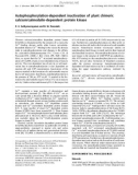 Báo cáo Y học: Autophosphorylation-dependent inactivation of plant chimeric calcium/calmodulin-dependent protein kinase