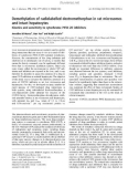 Báo cáo khoa học: Demethylation of radiolabelled dextromethorphan in rat microsomes and intact hepatocytes Kinetics and sensitivity to cytochrome P450 2D inhibitors