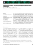 Báo cáo khoa học: Endoribonucleases – enzymes gaining spotlight in mRNA metabolism