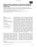 Báo cáo khoa học: Calcium-induced contraction of sarcomeres changes the regulation of mitochondrial respiration in permeabilized cardiac cells