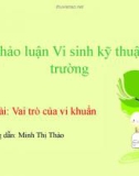 Bài thảo luận Vi sinh kỹ thuật môi trường: Vai trò của vi khuẩn