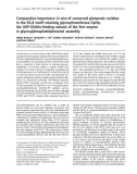 Báo cáo khoa học: Comparative importance in vivo of conserved glutamate residues in the EX7E motif retaining glycosyltransferase Gpi3p, the UDP-GlcNAc-binding subunit of the ﬁrst enzyme in glycosylphosphatidylinositol assembly