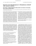 Báo cáo khoa học: Expression of two [Fe]-hydrogenases in Chlamydomonas reinhardtii under anaerobic conditions