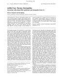 Báo cáo khoa học: tmRNA from Thermus thermophilus Interaction with alanyl-tRNA synthetase and elongation factor Tu