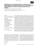 Báo cáo khoa học: Identiﬁcation and characterization of cytochrome bc1 subcomplexes in mitochondria from yeast with single and double deletions of genes encoding cytochrome bc1 subunits