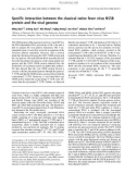 Báo cáo khoa học: Speciﬁc interaction between the classical swine fever virus NS5B protein and the viral genome