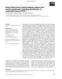 Báo cáo khoa học: Green ﬂuorescent protein-tagging reduces the nucleocytoplasmic shuttling speciﬁcally of unphosphorylated STAT1