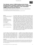 Báo cáo khoa học: The Atlantic salmon Z-DNA binding protein kinase phosphorylates translation initiation factor 2 alpha and constitutes a unique orthologue to the mammalian dsRNA-activated protein kinase R