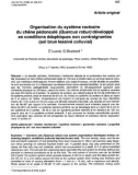 Báo cáo khoa học: Organisation du système racinaire du chêne pédonculé (Quercus robur) développé en conditions édaphiques non contraignantes (sol brun lessivé colluvial)