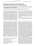 Báo cáo Y học: Monoterpene biosynthesis in lemon (Citrus limon) cDNA isolation and functional analysis of four monoterpene synthases