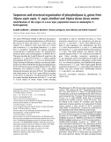 Báo cáo khoa học: Sequences and structural organization of phospholipase A2 genes from Vipera aspis aspis, V. aspis zinnikeri and Vipera berus berus venom Identiﬁcation of the origin of a new viper population based on ammodytin I1 heterogeneity