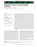 Báo cáo khoa học: Characterization of the rice carotenoid cleavage dioxygenase 1 reveals a novel route for geranial biosynthesis