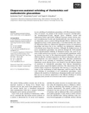 Báo cáo khoa học: Chaperone-assisted refolding of Escherichia coli maltodextrin glucosidase