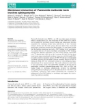 Báo cáo khoa hoc : Membrane interaction of Pasteurella multocida toxin involves sphingomyelin