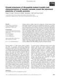 Báo cáo khoa học: Crystal structures of Drosophila mutant translin and characterization of translin variants reveal the structural plasticity of translin proteins