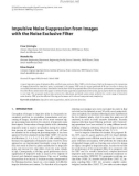 Báo cáo hóa học: Impulsive Noise Suppression from Images with the Noise Exclusive Filter