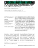 Báo cáo khoa học: The role of evolutionarily conserved hydrophobic contacts in the quaternary structure stability of Escherichia coli serine hydroxymethyltransferase