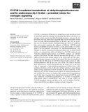 Báo cáo khoa học: CYP7B1-mediated metabolism of dehydroepiandrosterone and 5a-androstane-3b,17b-diol – potential role(s) for estrogen signaling