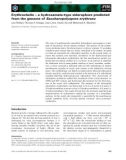 Báo cáo khoa học: Erythrochelin – a hydroxamate-type siderophore predicted from the genome of Saccharopolyspora erythraea