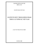 Luận văn Thạc sĩ Luật học: Người tổ chức trong đồng phạm theo Luật hình sự Việt Nam