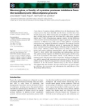 Báo cáo khoa học: Macrocypins, a family of cysteine protease inhibitors from the basidiomycete Macrolepiota procera