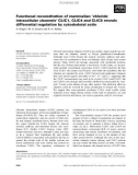 Báo cáo khoa học: Functional reconstitution of mammalian ‘chloride intracellular channels' CLIC1, CLIC4 and CLIC5 reveals differential regulation by cytoskeletal actin