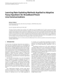 Báo cáo hóa học: Learning Rate Updating Methods Applied to Adaptive Fuzzy Equalizers for Broadband Power Line 