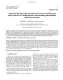 Báo cáo lâm nghiệp: Analysis of log shape and internal knots in twenty Maritime pine (Pinus pinaster Ait.) stems based on visual scanning and computer aided reconstruction