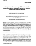 Báo cáo lâm nghiệp: of morphological characters and molecular markers for the analysis of hybridization in sessile and pedunculate oak