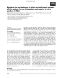 Báo cáo khoa học: Bridging the gap between in silico and cell-based analysis of the nuclear factor-jB signaling pathway by in vitro studies of IKK2