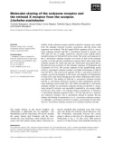 Báo cáo khoa học: Molecular cloning of the ecdysone receptor and the retinoid X receptor from the scorpion Liocheles australasiae