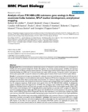 báo cáo khoa học: Analysis of non-TIR NBS-LRR resistance gene analogs in Musa acuminata Colla: Isolation, RFLP marker development, and physical mapping