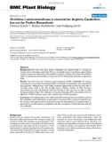 báo cáo khoa học: Ornithine-δ-aminotransferase is essential for Arginine Catabolism but not for Proline Biosynthesis