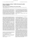 Báo cáo khoa học: Human proteoglycan testican-1 inhibits the lysosomal cysteine protease cathepsin L