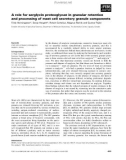 Báo cáo khoa học: A role for serglycin proteoglycan in granular retention and processing of mast cell secretory granule components