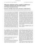 Báo cáo khóa học: Differential carbohydrate epitope recognition of globotriaosyl ceramide by verotoxins and a monoclonal antibody