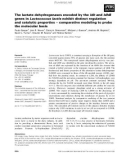 Báo cáo khoa học: The lactate dehydrogenases encoded by the ldh and ldhB genes in Lactococcus lactis exhibit distinct regulation and catalytic properties ) comparative modeling to probe the molecular basis