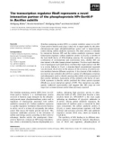 Báo cáo khoa học: The transcription regulator RbsR represents a novel interaction partner of the phosphoprotein HPr-Ser46-P in Bacillus subtilis