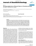 báo cáo khoa học: Emerging Applications of Bacterial Spores in Nanobiotechnology