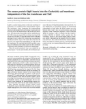 Báo cáo khoa học: The sensor protein KdpD inserts into the Escherichia coli membrane independent of the Sec translocase and YidC