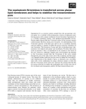 Báo cáo khoa học: The equinatoxin N-terminus is transferred across planar lipid membranes and helps to stabilize the transmembrane pore