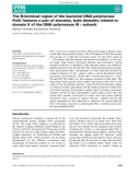 Báo cáo khoa học: The N-terminal region of the bacterial DNA polymerase PolC features a pair of domains, both distantly related to domain V of the DNA polymerase III s subunit