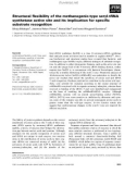 Báo cáo khoa học: Structural ﬂexibility of the methanogenic-type seryl-tRNA synthetase active site and its implication for speciﬁc substrate recognition