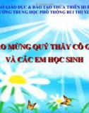 Giáo án điện tử sinh học: Sinh học lớp 12-Giảm phân- Kết quả- Quá trình